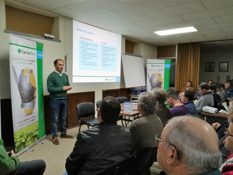 syngenta